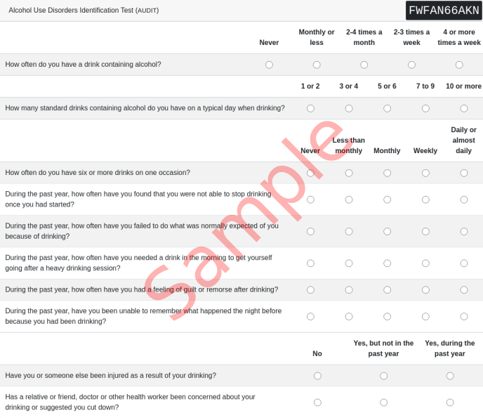 AUDIT Questionnaire
