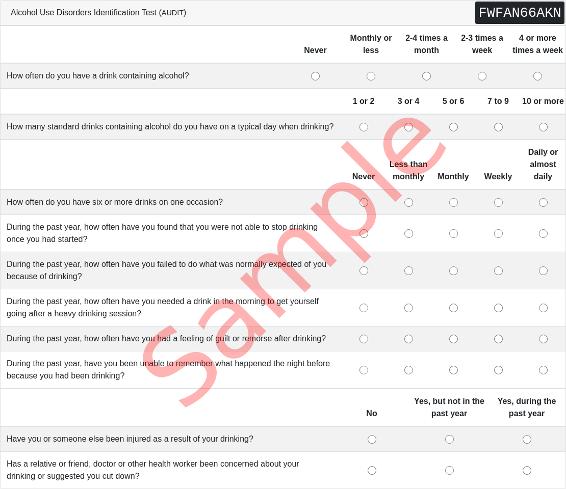 AUDIT Questionnaire