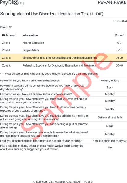 AUDIT Scoring PDF Screenshot