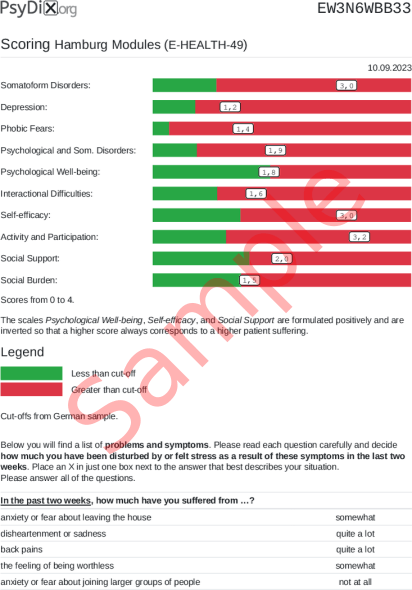E-HEALTH-49 Scoring PDF Screenshot