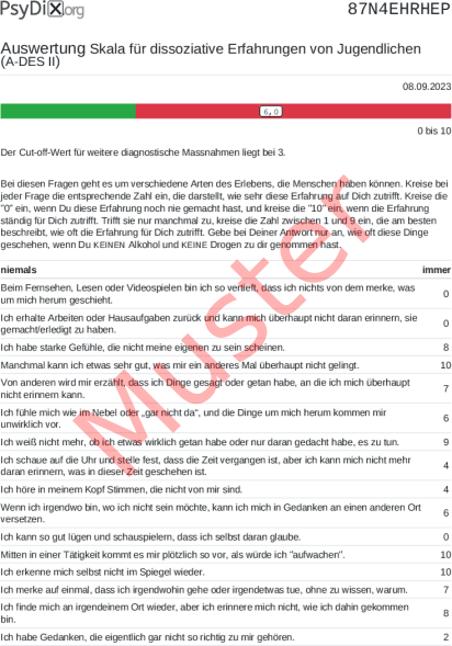 A-DES II-Auswertung PDF Bildschirmfoto