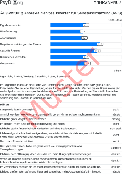 ANIS-Auswertung PDF Bildschirmfoto