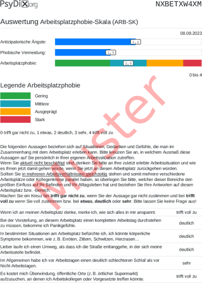 ARB-SK-Auswertung PDF Bildschirmfoto