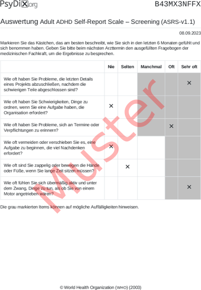 ASRS-v1.1-Auswertung PDF Bildschirmfoto