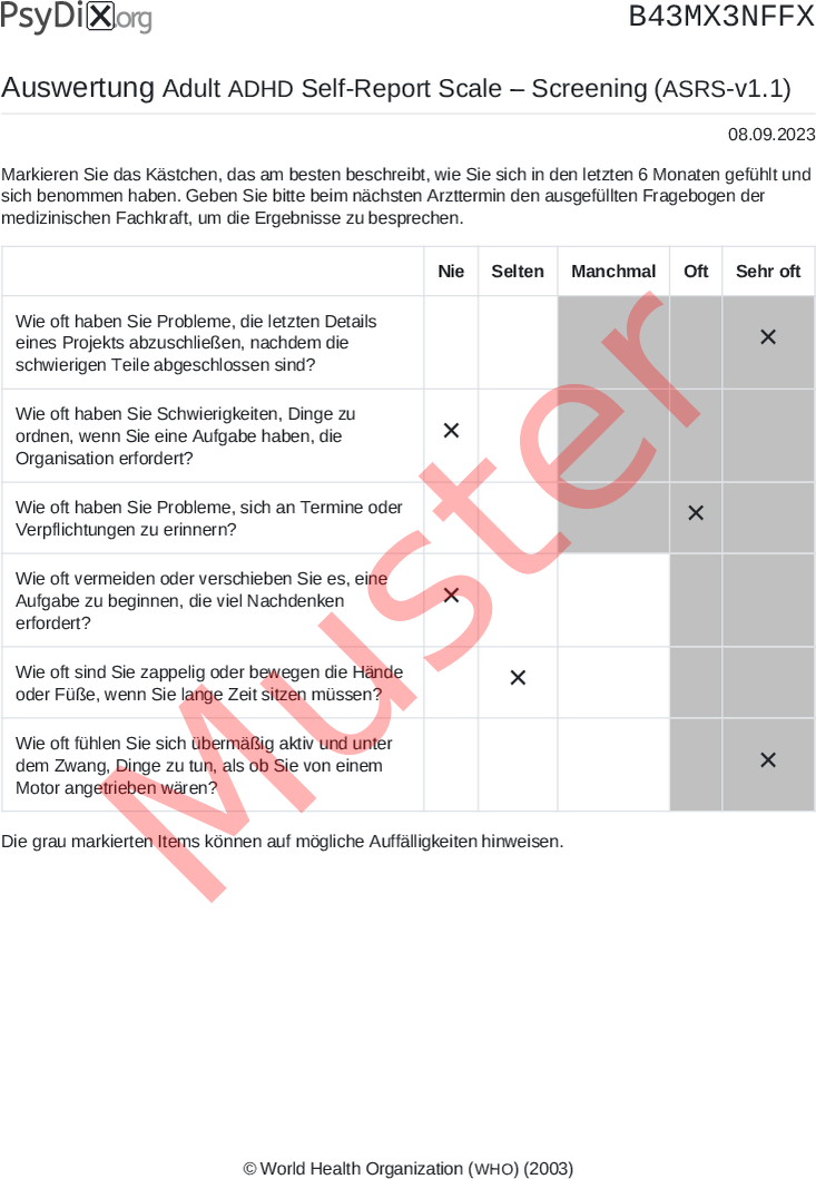 ASRS-v1.1-PDF-Auswertung