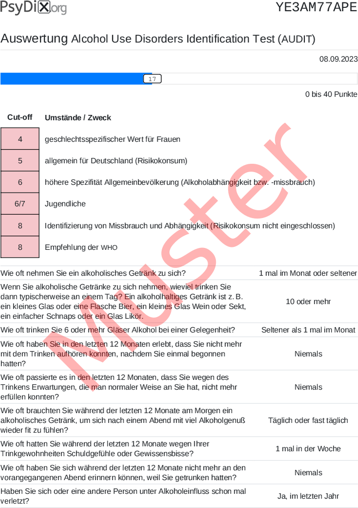 AUDIT-PDF-Auswertung