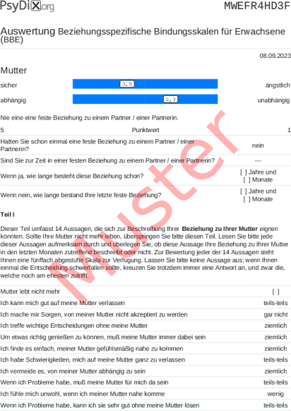 BBE-Auswertung PDF Bildschirmfoto
