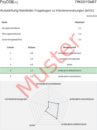 BFKE-Auswertung PDF Bildschirmfoto