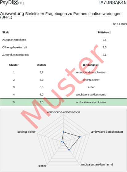 BFPE-Auswertung PDF Bildschirmfoto