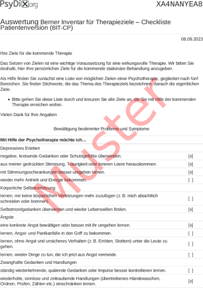 BIT-CP-Auswertung PDF Bildschirmfoto