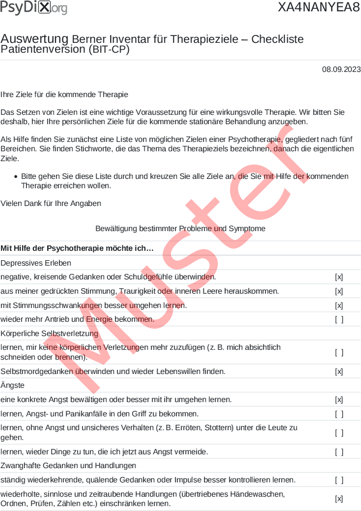 BIT-CP-PDF-Auswertung