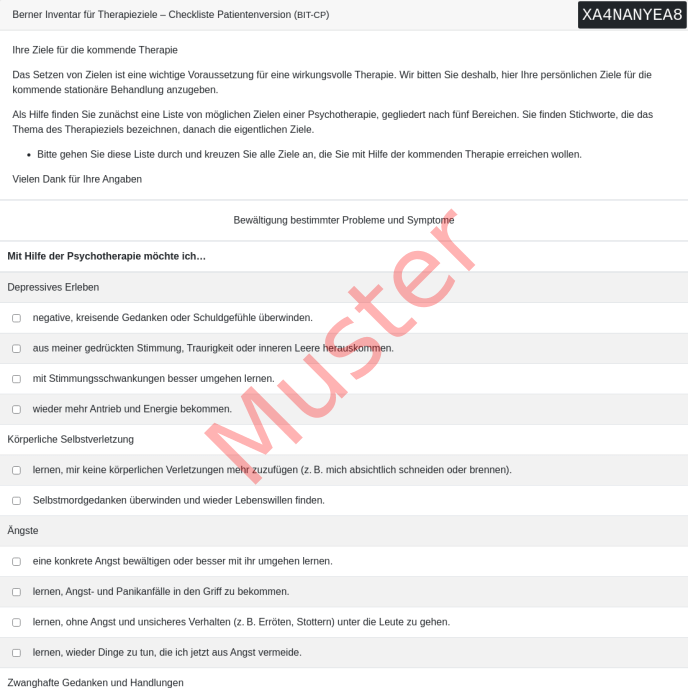 BIT-CP-Fragebogen