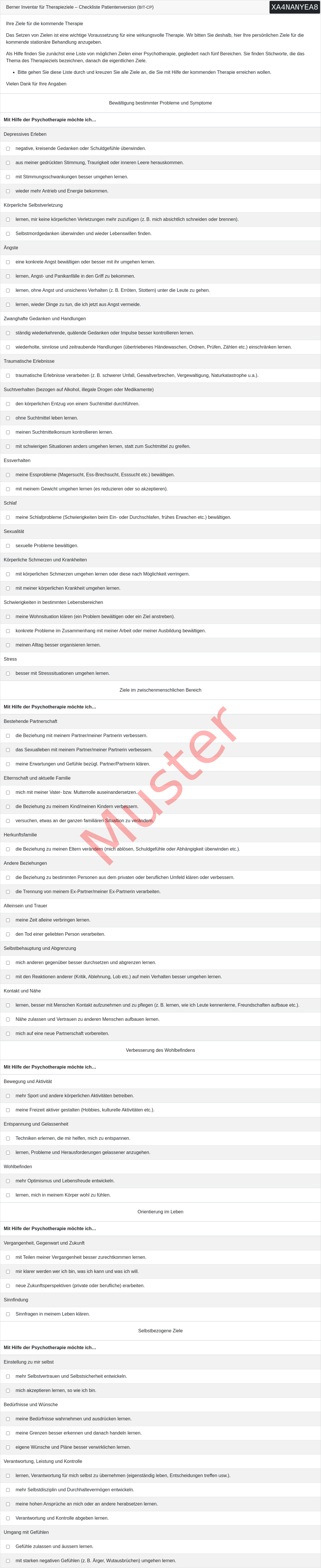 BIT-CP-Fragebogen