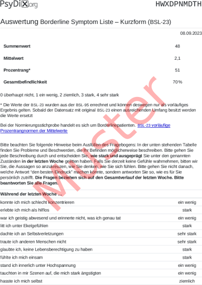 BSL-23-Auswertung PDF Bildschirmfoto
