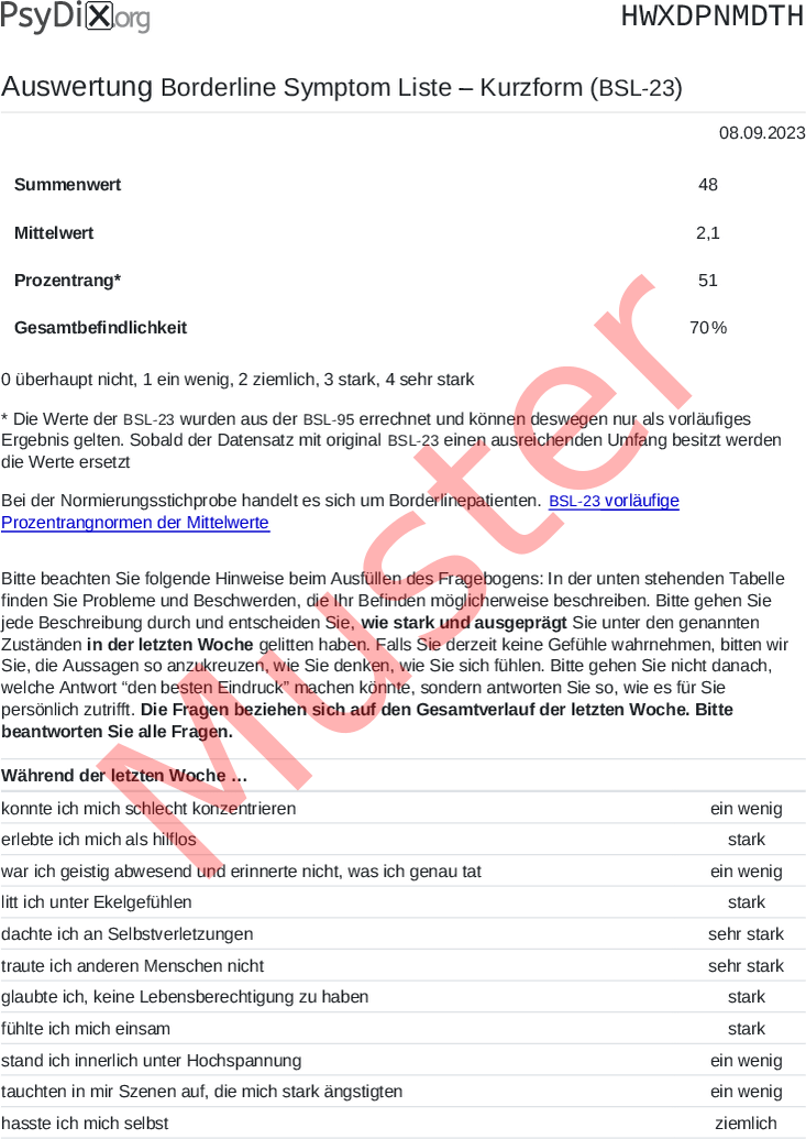 BSL-23-PDF-Auswertung