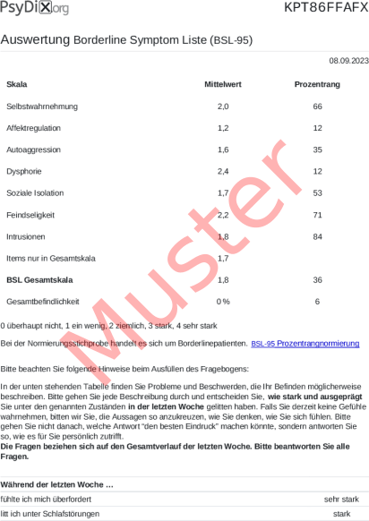 BSL-95-Auswertung PDF Bildschirmfoto