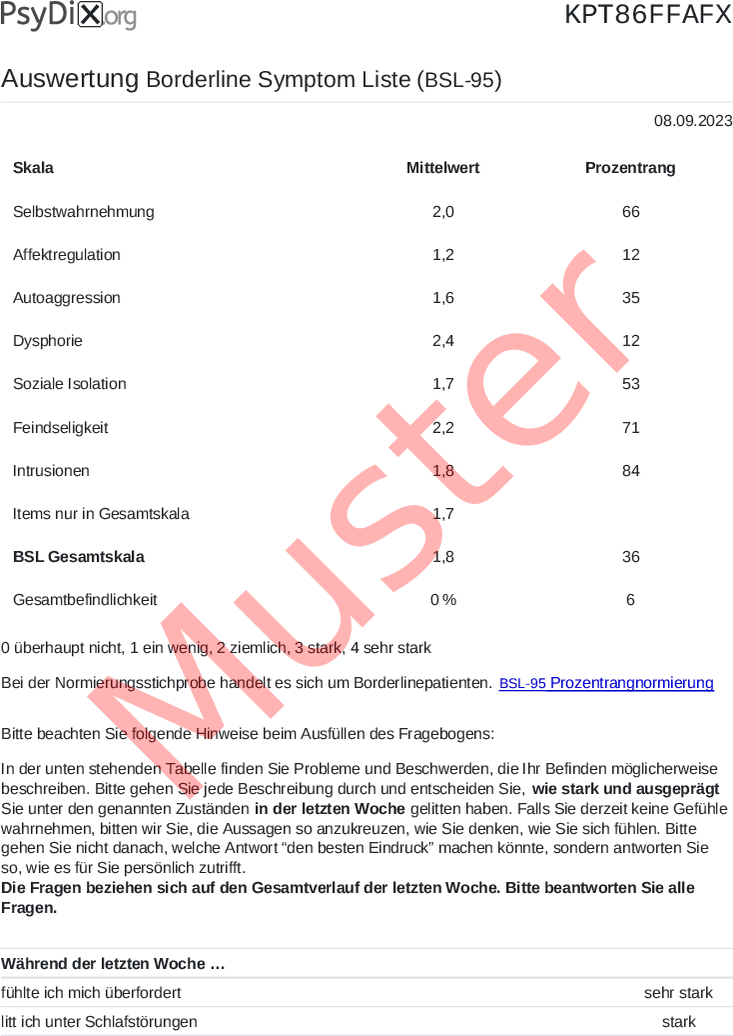 BSL-95-PDF-Auswertung