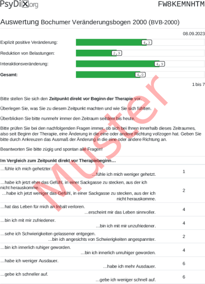 BVB-2000-Auswertung PDF Bildschirmfoto