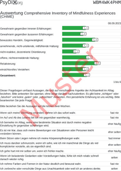 CHIME-Auswertung PDF Bildschirmfoto