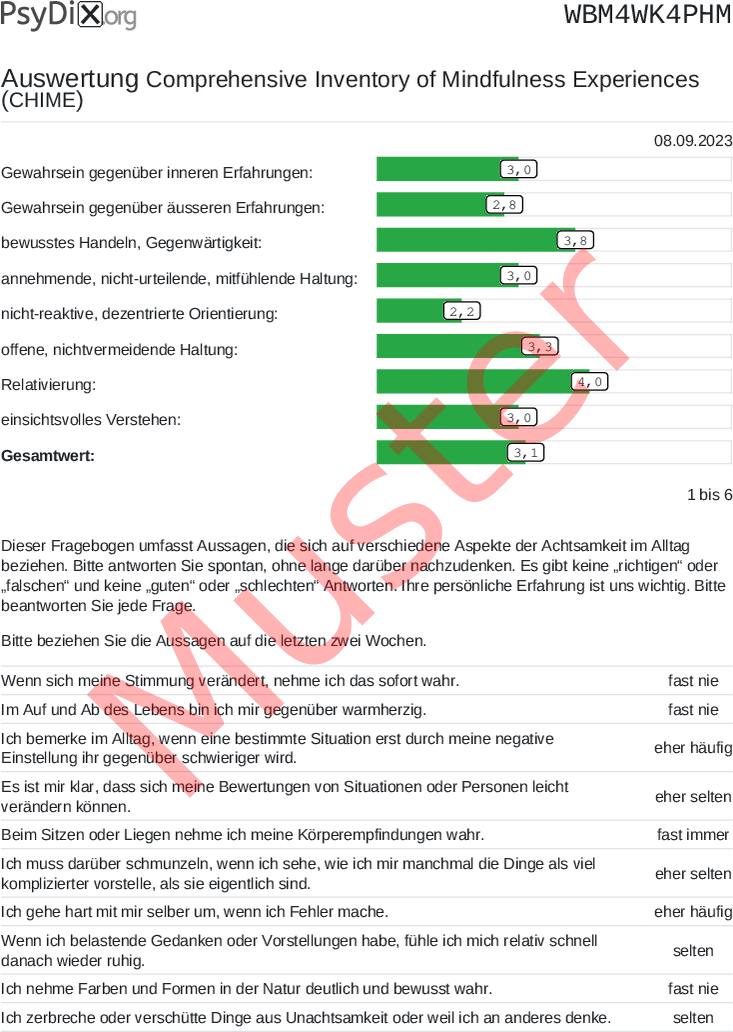 CHIME-PDF-Auswertung