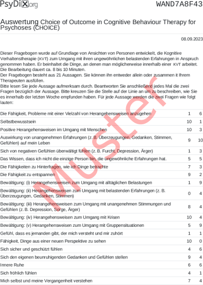 CHOICE-Auswertung PDF Bildschirmfoto
