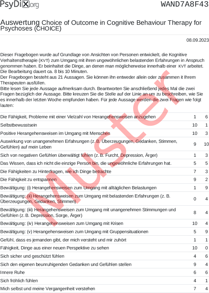 CHOICE-PDF-Auswertung