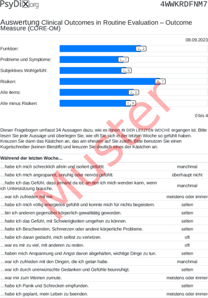 CORE-OM-Auswertung PDF Bildschirmfoto