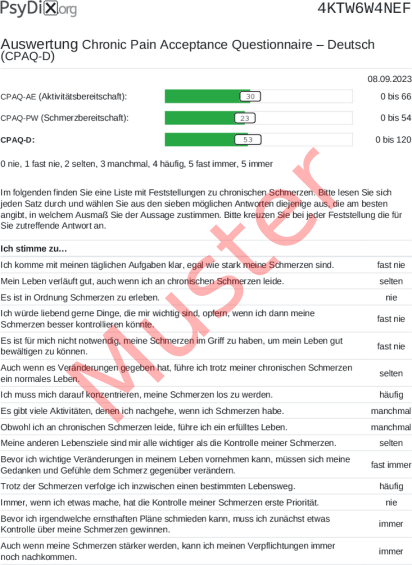 CPAQ-D-Auswertung PDF Bildschirmfoto