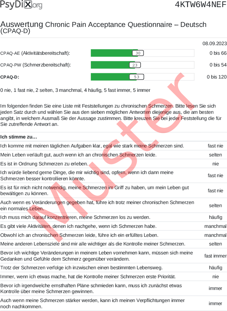 CPAQ-D-PDF-Auswertung