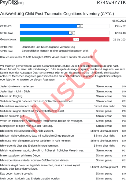 CPTCI-Auswertung PDF Bildschirmfoto