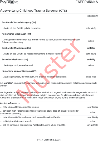 CTS-Auswertung PDF Bildschirmfoto