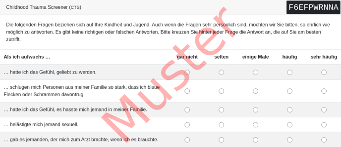 CTS-Fragebogen