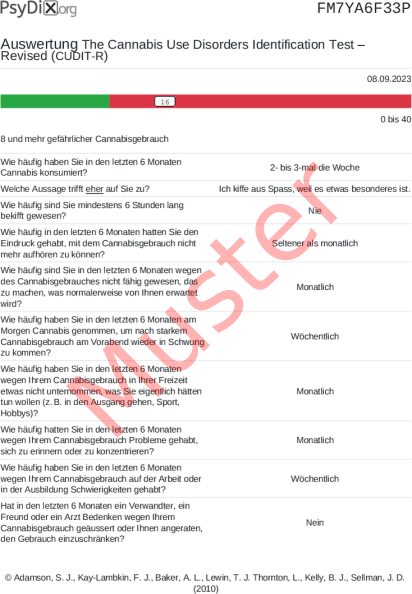 CUDIT-R-Auswertung PDF Bildschirmfoto