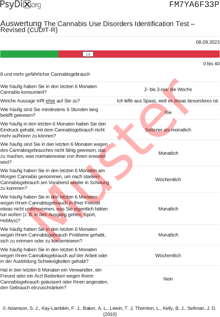 CUDIT-R-PDF-Auswertung