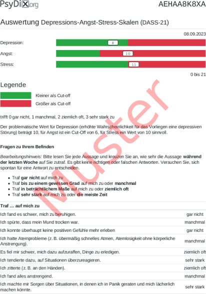 DASS-21-Auswertung PDF Bildschirmfoto