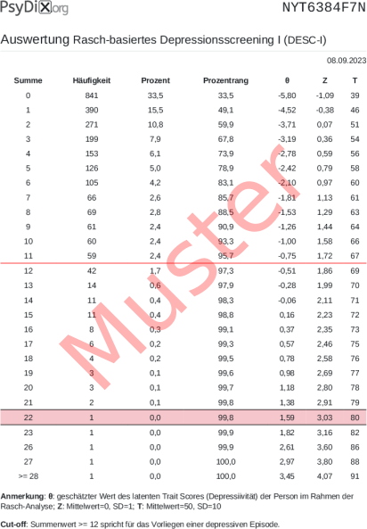 DESC-Auswertung PDF Bildschirmfoto