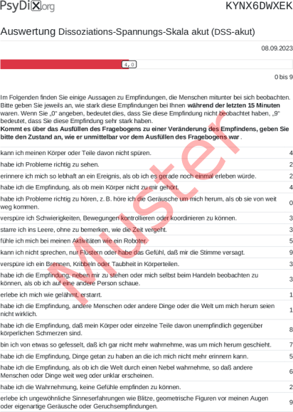 DSS-akut-Auswertung PDF Bildschirmfoto