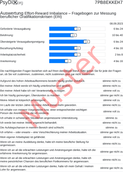 ERI-Auswertung PDF Bildschirmfoto