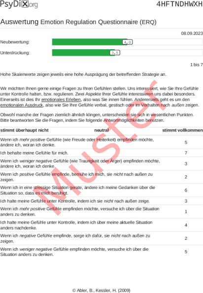 ERQ-Auswertung PDF Bildschirmfoto