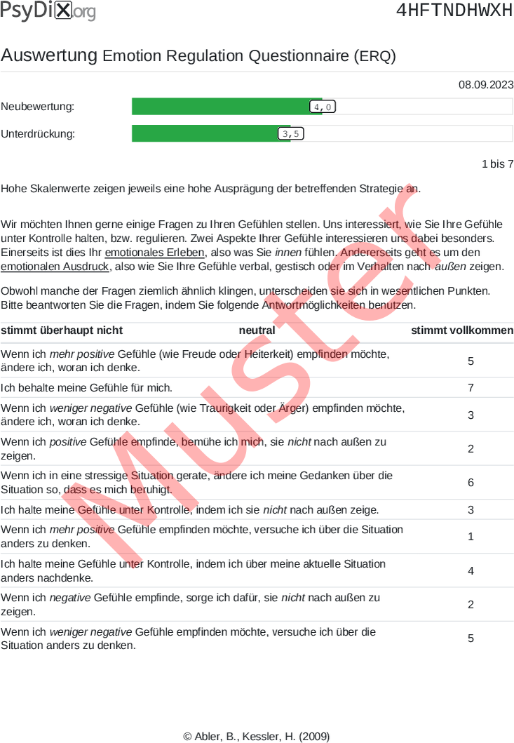 ERQ-PDF-Auswertung
