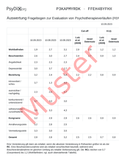 FEP-2-Auswertung PDF Bildschirmfoto