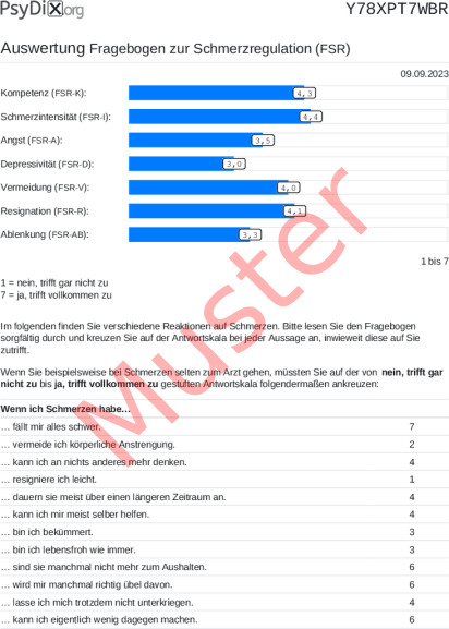 FSR-Auswertung PDF Bildschirmfoto