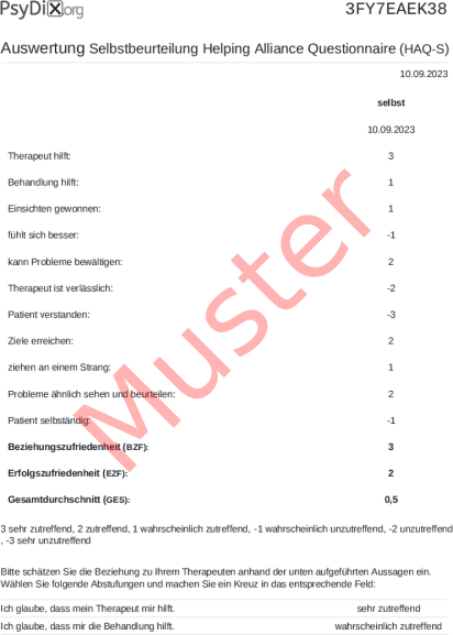 HAQ-Auswertung PDF Bildschirmfoto