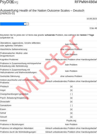 HoNOS-D-Auswertung PDF Bildschirmfoto