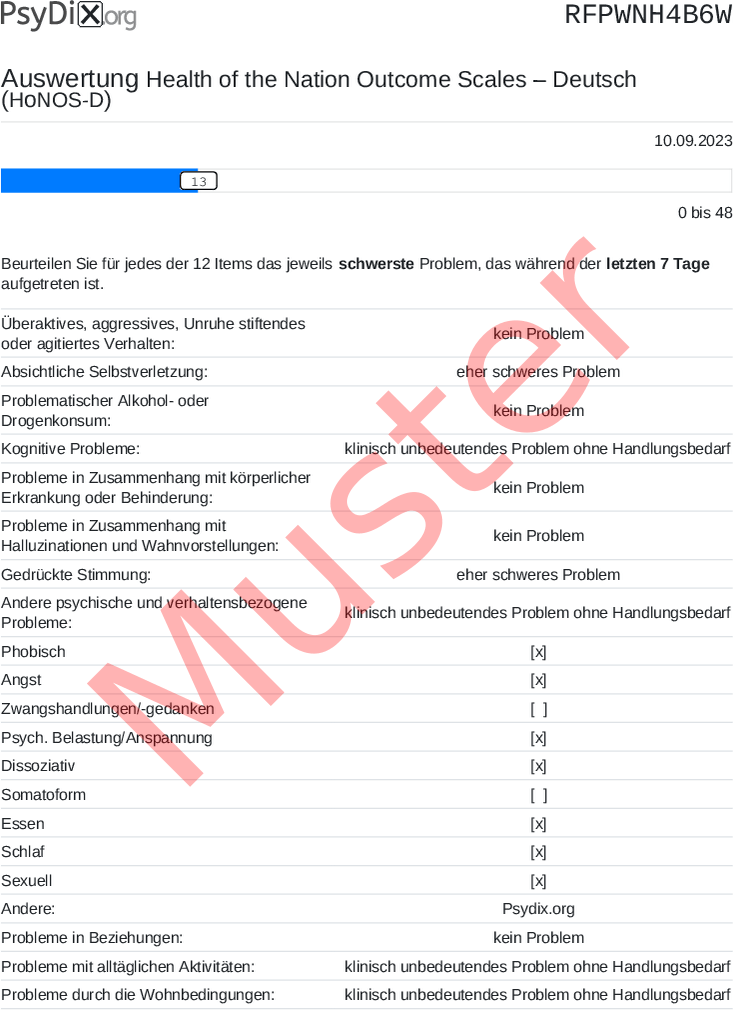 HONOS-D-PDF-Auswertung