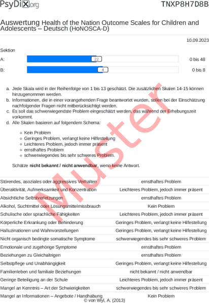 HoNOSCA-D-Auswertung PDF Bildschirmfoto