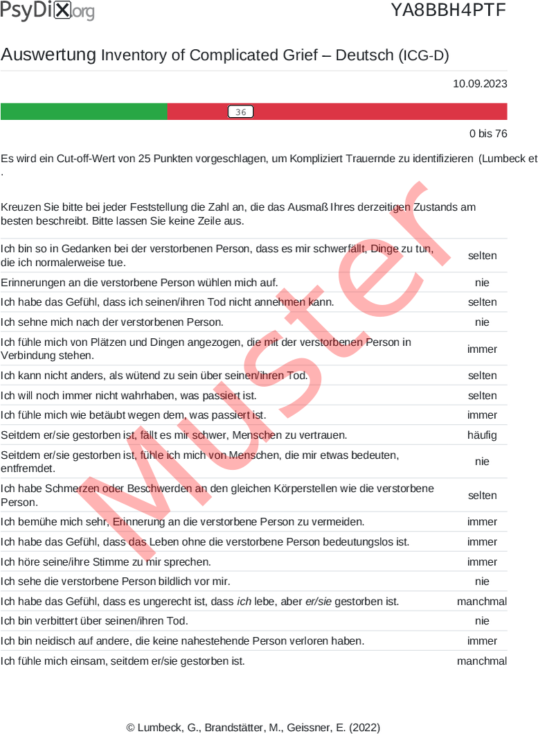ICG-D-PDF-Auswertung