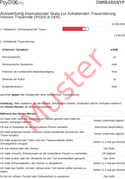 IPGDS-B-GER-Auswertung PDF Bildschirmfoto