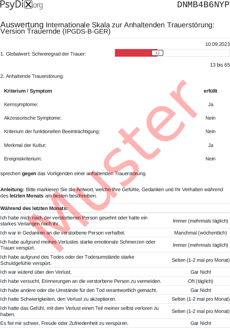 IPGDS-B-GER-PDF-Auswertung