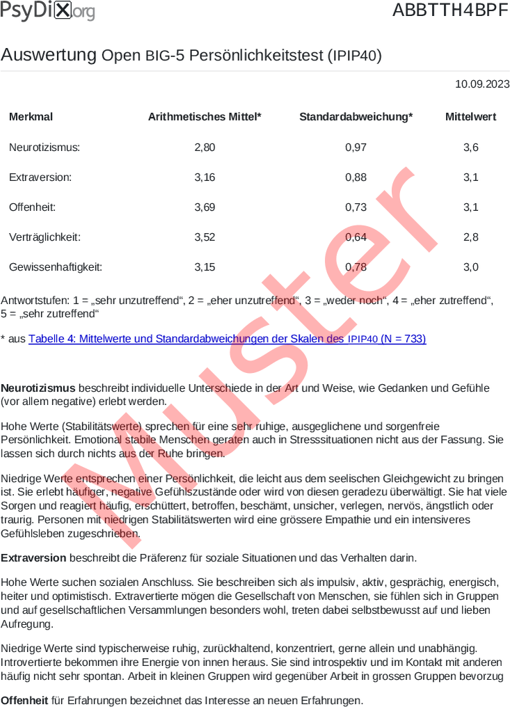 IPIP40-PDF-Auswertung
